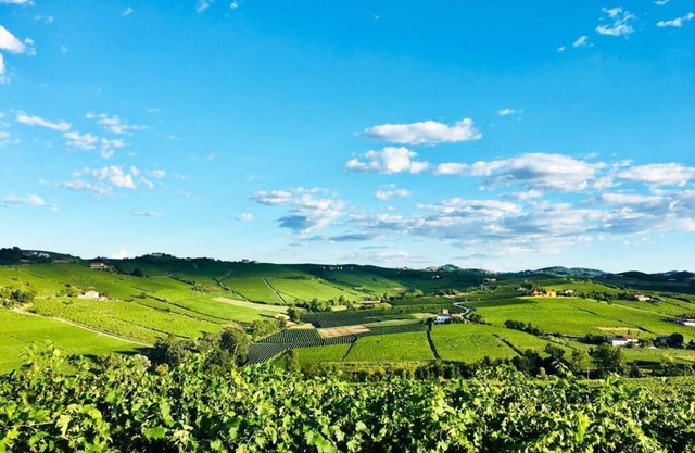 PANORAMIC VILLA IN THE HILLS OF MONFERRATO