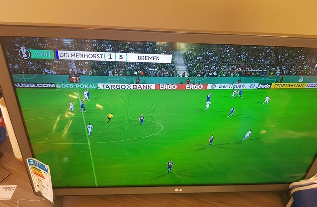 Paradise Home Coming