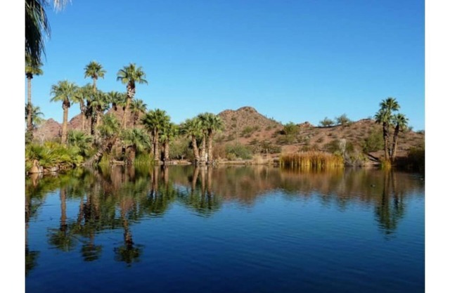 Park Setting with Pool! Old Town Scottsdale, ASU, PHX, Papago Park, Zoo, DBG