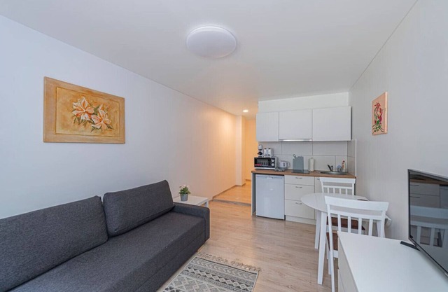 Partizanų studio ap 3 by Polo Apartments