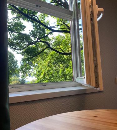 "Pas draugą" Greenhill