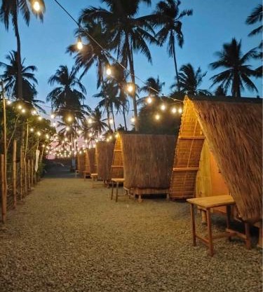 Patar Palms