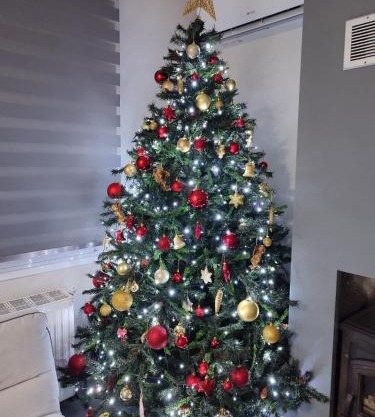 Paulos & Eva's house