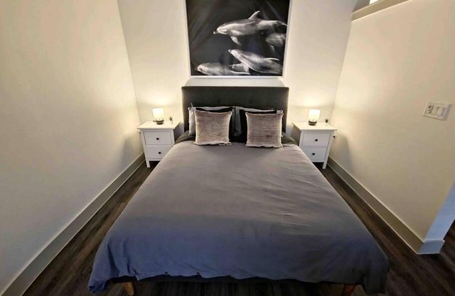 Peaceful Relaxing Suite Frisco