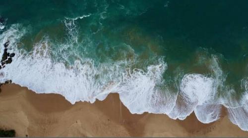 Peacock Residence & Cabana's