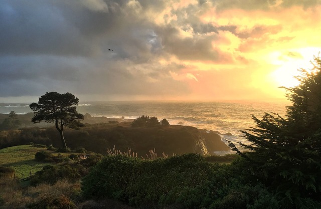 Pelican Point, Dramatic Ocean & Coast Views, Spa, Next to Town