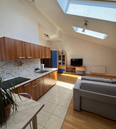 Penthouse by the park