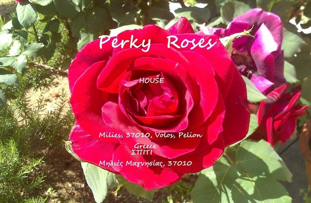 Perky Roses, *Home*, 37010 Milies Pelion, Greece, HOUSE