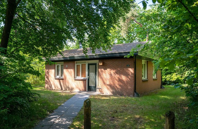 Pet-Friendly Forest Escape