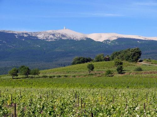 Petit gite de Provence