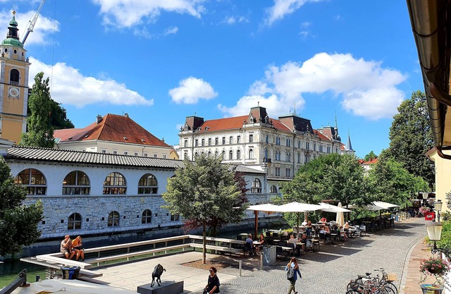 Petkovšek Rooms and Apartments