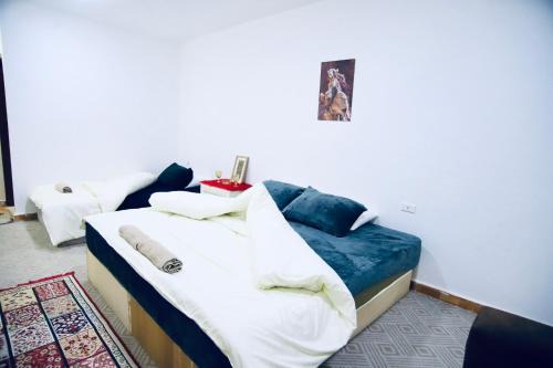 Petra Main Gate Studios