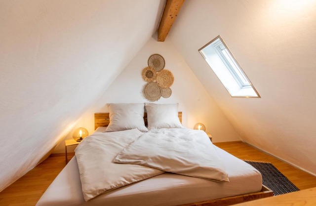 Pfälzer Nest