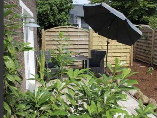 Pfötchenparadies II