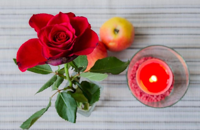 Piano Forte Pension Leipzig Mitte