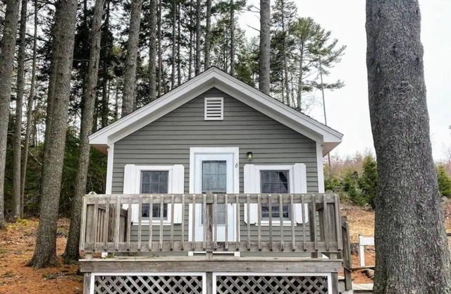 Pine Grove Cottages : Cottage 6 - Studio Cottage - Pet Friendly