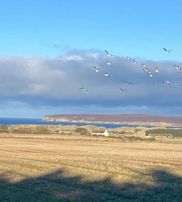 Pinelodge, Dunnet Bay