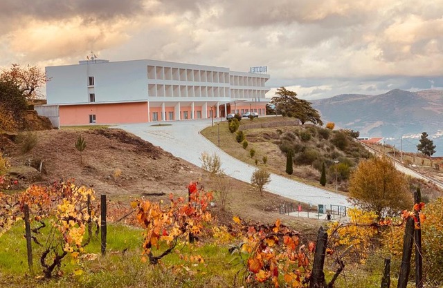 Plácido Hotel Douro - Tabuaço
