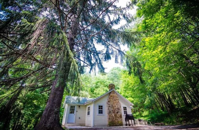 Place in the Pines | 1BR,1BA,Hot Tub,Fireplace