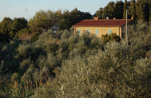 Podere Piaggette Segalari, Apartment Sea Side