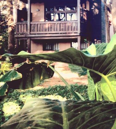 Posta Chimango, Cabañas frente al Golf Los Acantilados