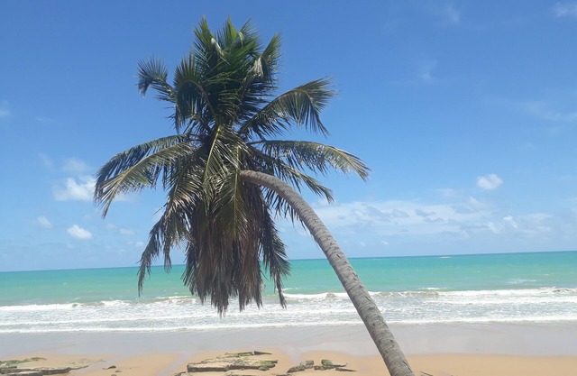 Pousada Boneca de Pano