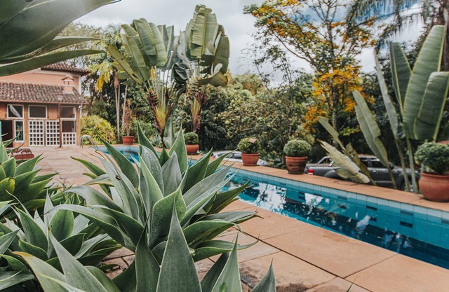 Pousada d'óleo de Guignard