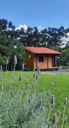 Pousada Morro dos Pinhais