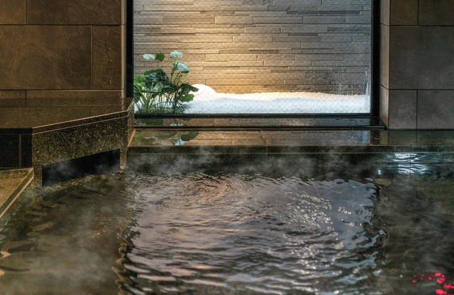 Premier Nagoya Natural Hot Spring Sakura-dori Exit