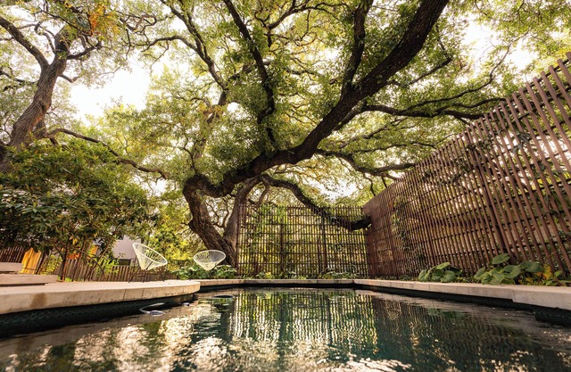 Preservation Austin Home, restored to Midcentury Gloryn