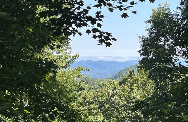 Prime Location 1.5 miles to Ober Gatlinburg