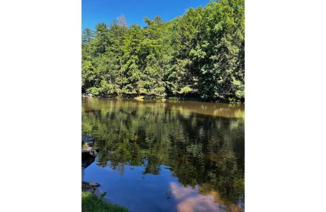 ⭐️Pristine river front property, swim, kayak + fish. ⭐️ 90 mins away from NYC