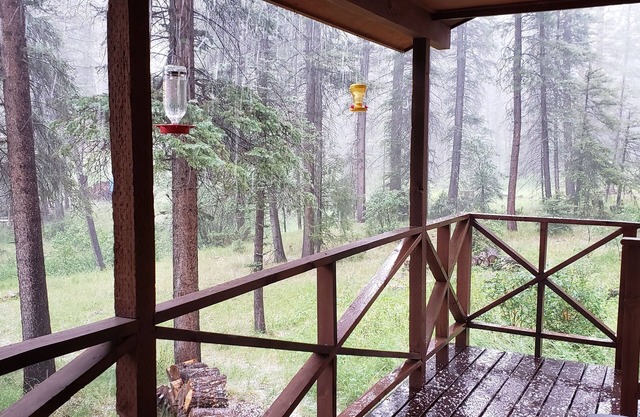 Private Jemez cabin near Fenton Lake