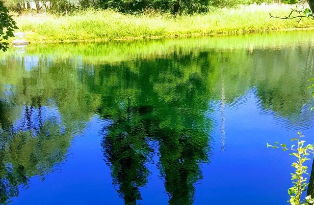 Private Lake, Farm Stay, 100 acres Granite Bay