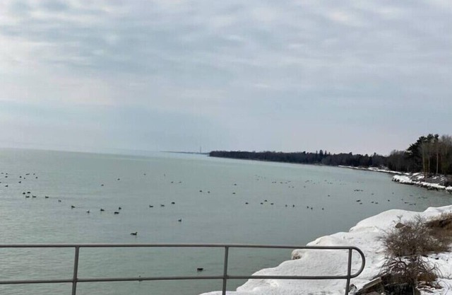 Private Lakeside Loft with Pationn