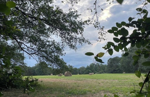 Private, relaxing country setting with modern comforts! Only 10 mins from town