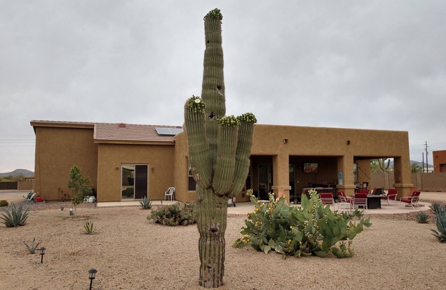 Private Room in Beautiful Desert Hills Az