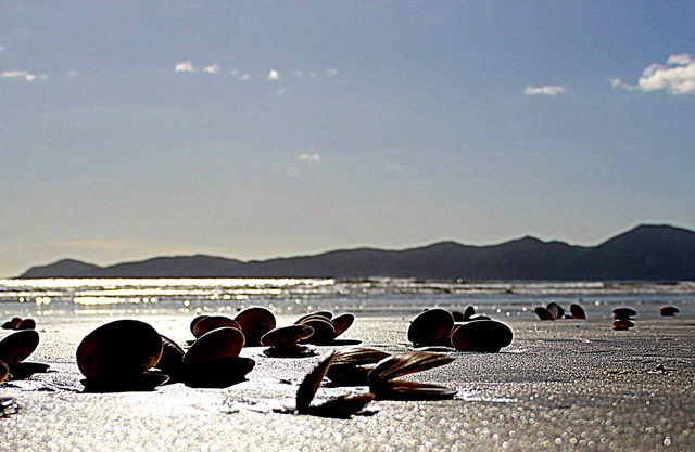Private studio near the sea-1 minute walk to the beach