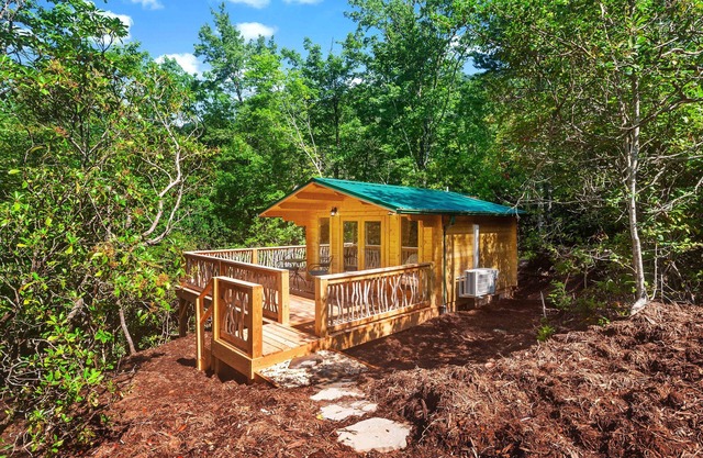 PRIVATE Tiny Cabin+90 acres of hiking+baby goats