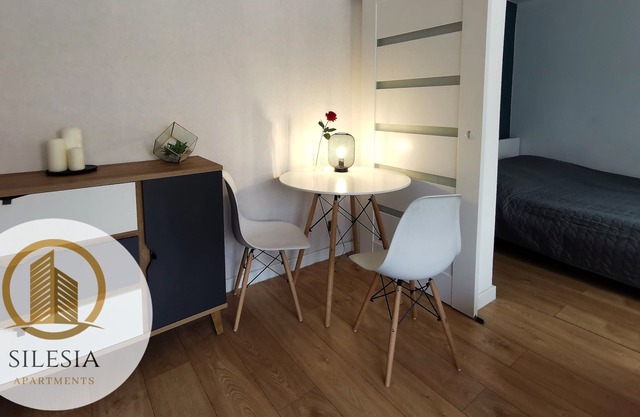 Przytulny apartament w Centrum miasta, w otoczeniu zieleni.