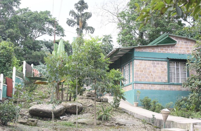 Pumpkin StreamSide Guest House