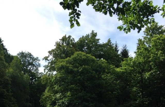 Quiet 3-room apartment in a residence with pool and park