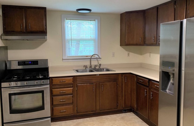 Quiet Cottage in the Pines, close to downtown Belfast and Swan Lake