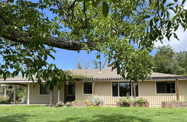 Quiet Farm in a Beautiful Walnut Orchard