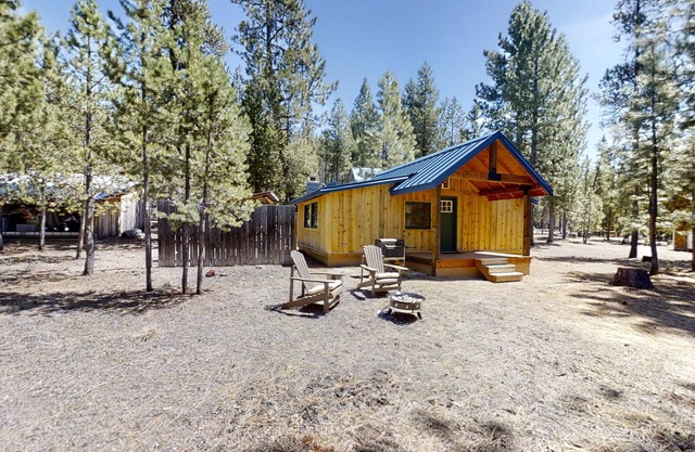 Quiet, secluded cabin among the pines with firepit, great for outdoor adventures