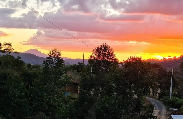 Quinta da Vó Sonia cabins. Harmony cabin.