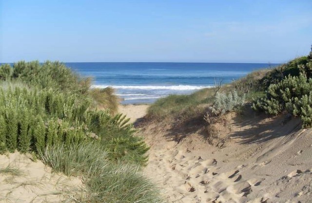 Quintessential Beach Shack with all the mod cons.