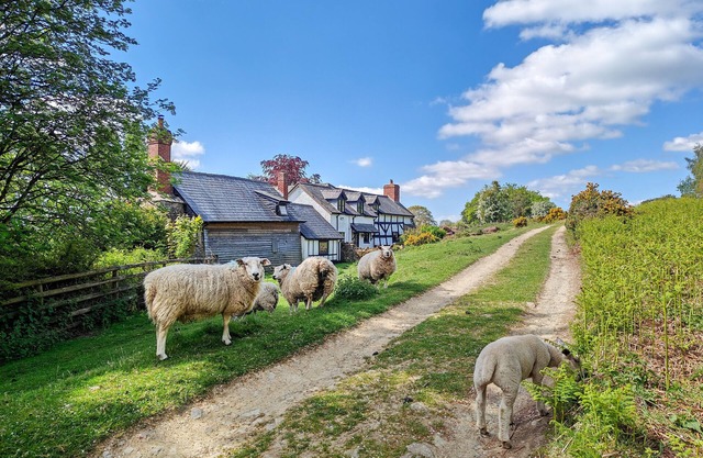 Ramblers Rest - Three Bedroom House, Sleeps 6