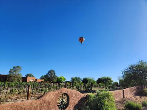 Red Mountain Manor vineyard and guesthouse