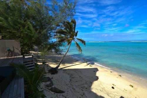 Reflections On Rarotonga